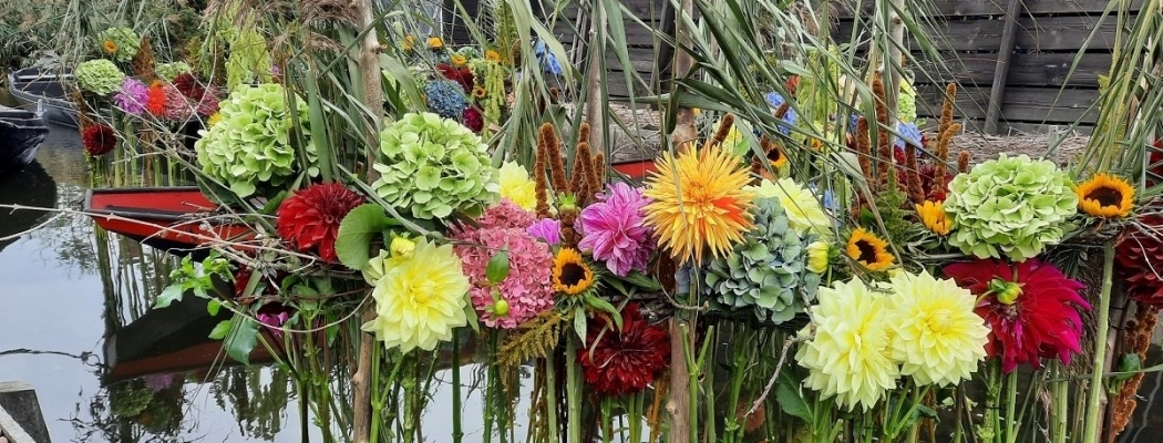 Laat je betoveren door bloemen en kunst tijdens Aalsmeer Flower Festival