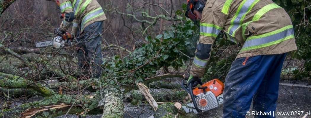 Brandweer uren druk met instabiele bomen Loenen aan de Vecht