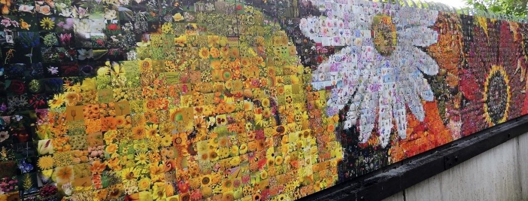 Wall of Flowers nieuwe blikvanger van Flower Art Museum