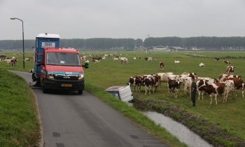 Vrachtwagen verliest Dixi in Nigtevecht