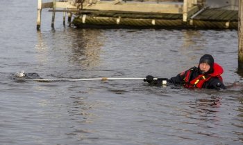Brandweerduikers vangen vogel met vogelgriep in Amstelhoek