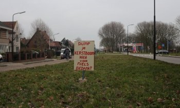 Niels uit Amstelhoek ziet handel in kerstbomen