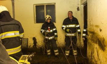 Brandweer redt koe uit gierput Waverveen
