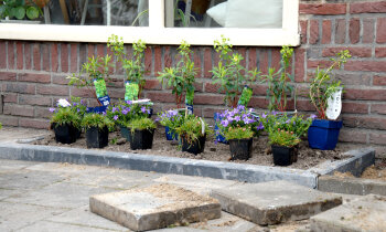 Samen voor meer groen: Uithoorn wipt 4.063 tegels