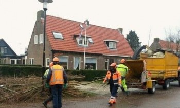 Bewoners Wilgenlaan in Aalsmeer knotten zelf de wilgen - 0297.nl