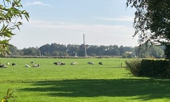 IVN Winterwandeling langs de Vecht - 0297.nl