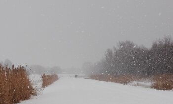 Gevoelens/emoties vastleggen bij Fotoworkshop de Ronde Venen