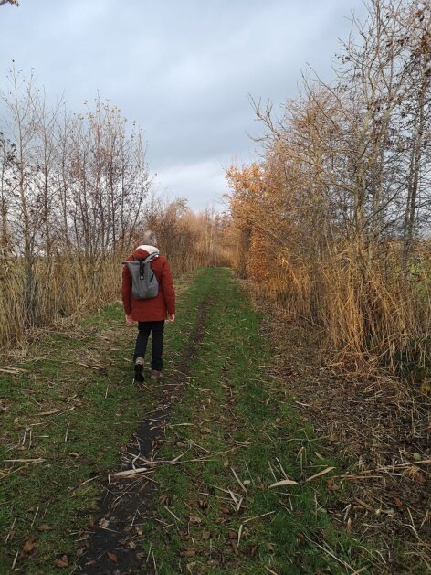 IVN Winterwandeling