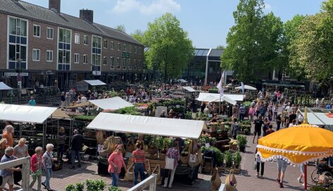 Geraniummarkt en Braderie Aalsmeer Centrum