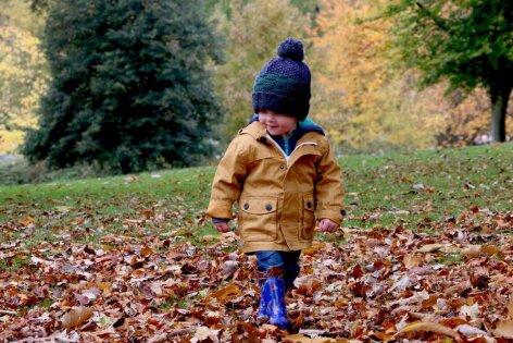 Natuurbeleving Herfst bij Mama Lokaal Abcoude