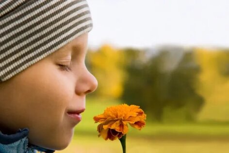 natuurbeleving-smelling-flower-2_1786952797.jpg