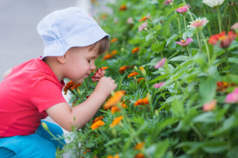 natuurbeleving-smelling-flowers_1786954013.jpg