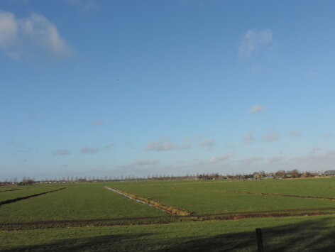 IVN-lezing Basiskwaliteit Natuur:  duidelijk doel voor een haalbare verbetering