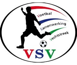 Stichting VSV