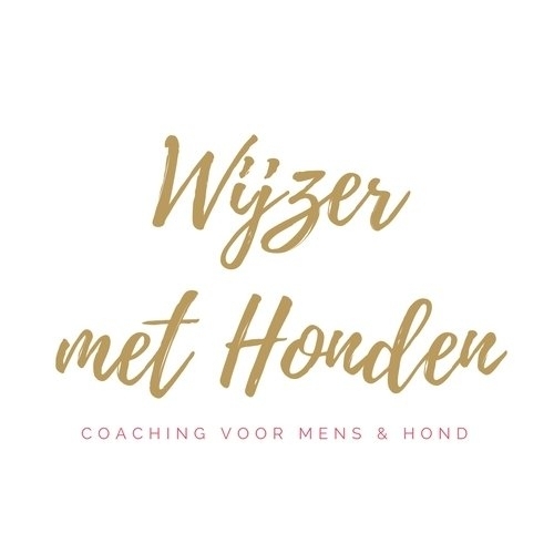 Wijzer met Honden | coaching voor mens & hond