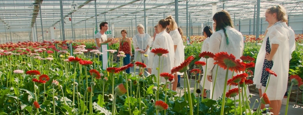 Vijfhonderd leerlingen op bezoek bij de tuinbouw