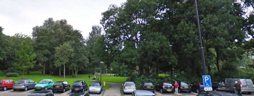 Zwanenpark in Vinkeveen wordt opgeknapt