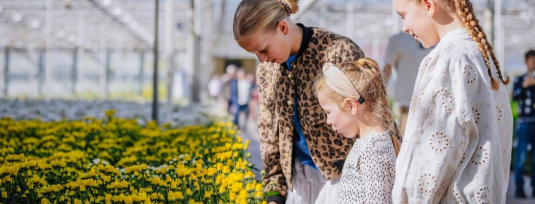Deze zes kwekers in regio Aalsmeer openen hun deuren tijdens Kom in de Kas