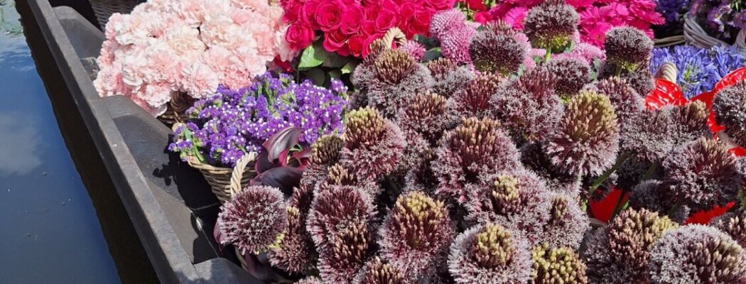 Aalsmeer Flower Festival 2026: de korte broeken editie