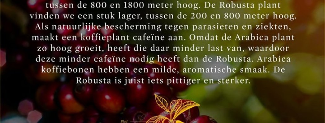 Van koffieplant tot koffiekop. De koffie...