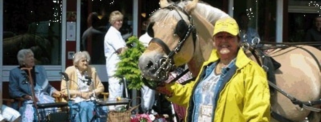 Zonnige zomerwedstrijd bij Paardensport vereniging Troje.