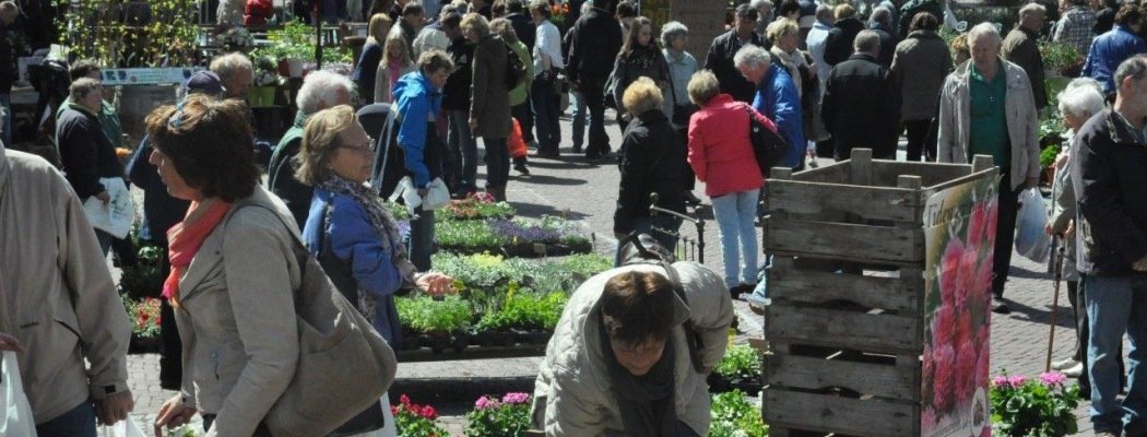 Geraniummarkt en braderie op zaterdag 9 mei in Aalsmeer Centrum
