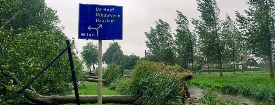 Rij bomen omgevallen op Dr van der Haarlaan Mijdrecht bij de Oosterlandweg, foto: stefan meilof