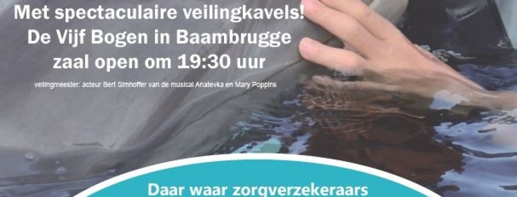 2e veiling voor stichting Dolphins for Davey