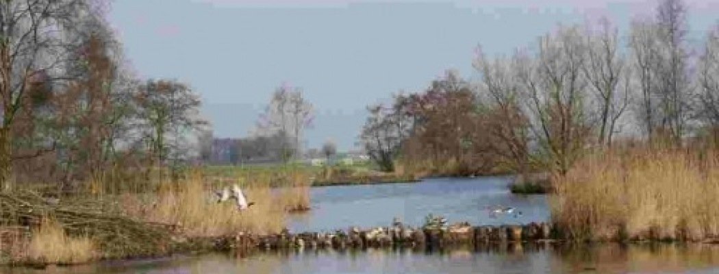 Westhoek Wonen steunt natuurgebied het Veenwater