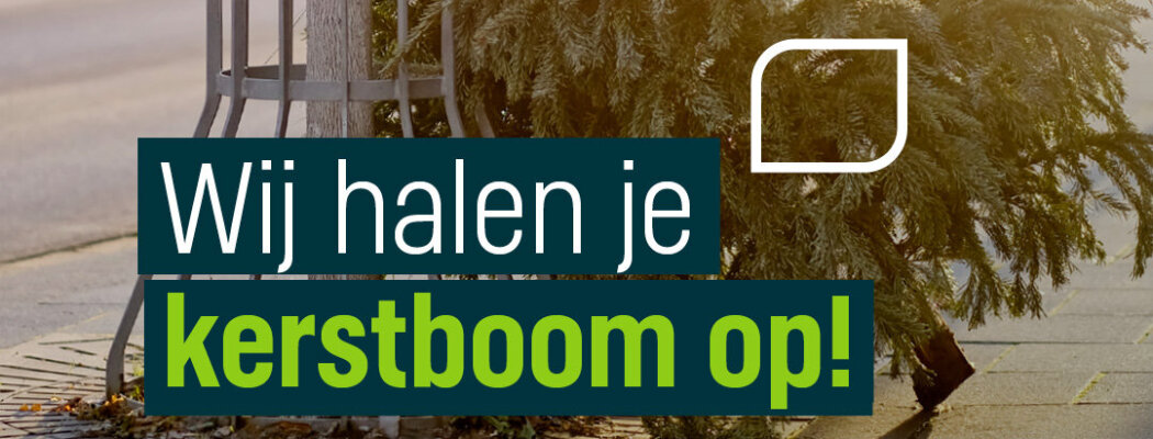 Klaar met de kerstboom? Leg de boom bij een aanbiedlocatie