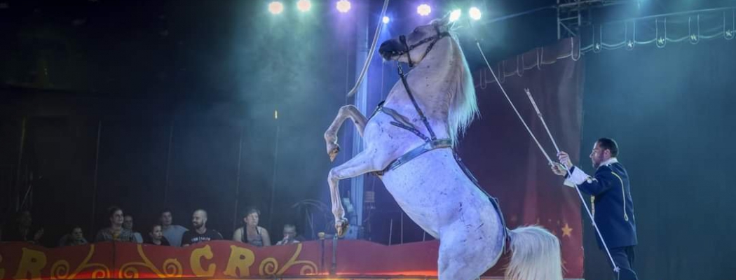 Circus Renz Berlin komt naar Uithoorn