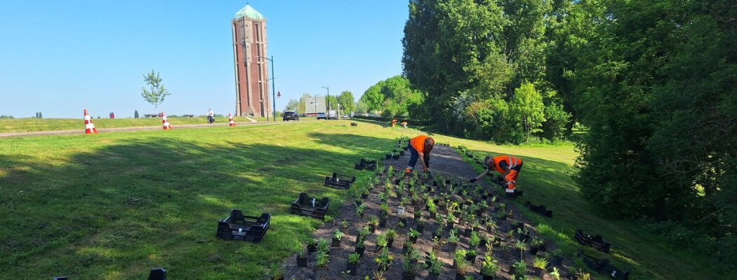 Nieuwe plantvakken aan de Kudelstaartseweg brengen kleur in de buurt