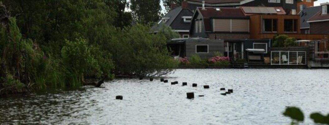 Gratis Rondvaarten op de Kleine Poel op zaterdag 19 oktober