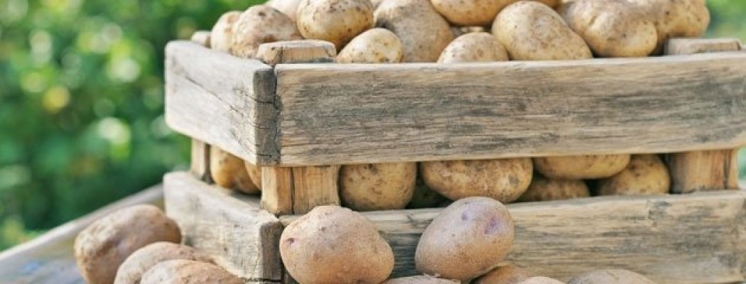 Landwinkel De Lindenhorst verkoopt aardappelen uit eigen tuin