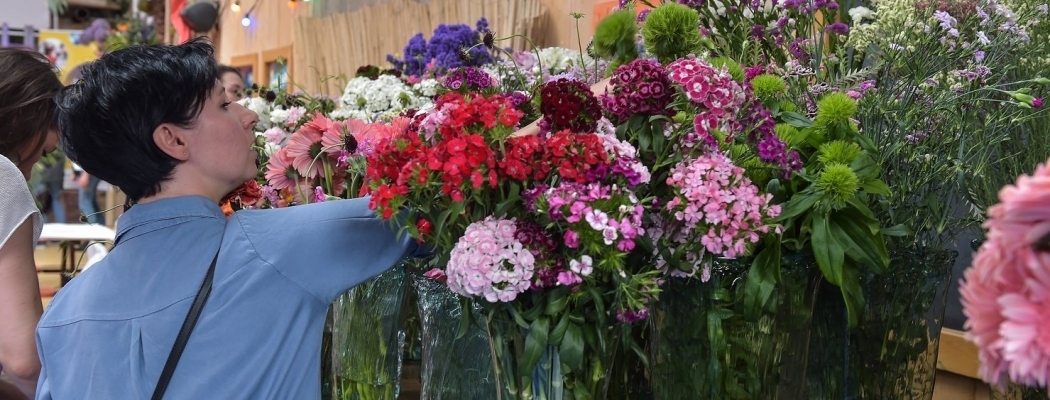 Aalsmeer Flower Festival wordt bloemrijk feest