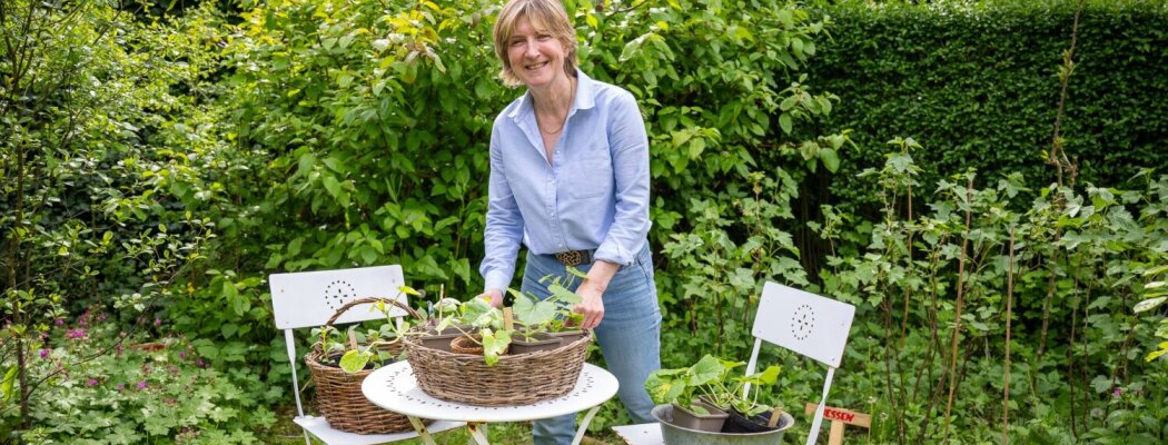 Lezing ‘Geef de natuur in je tuin een boost’ door Annetje Ottow