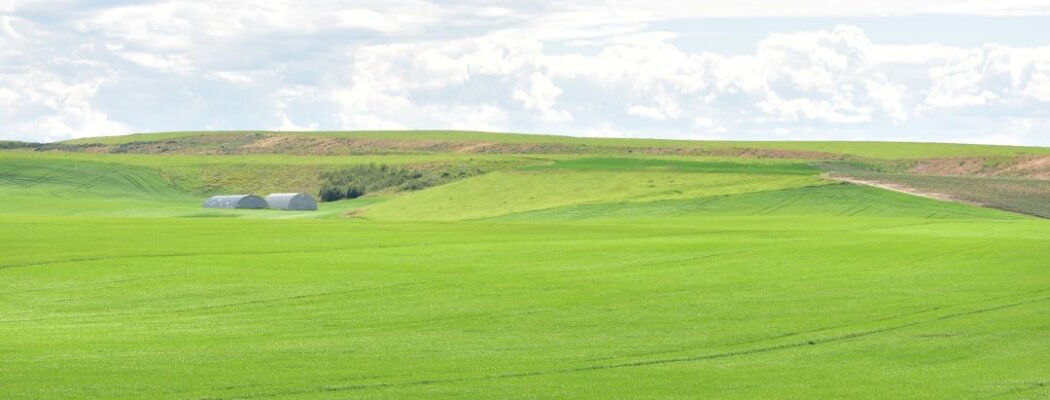 Hoe is de digitalisering van de juridische identiteit gerelateerd aan ecologie?