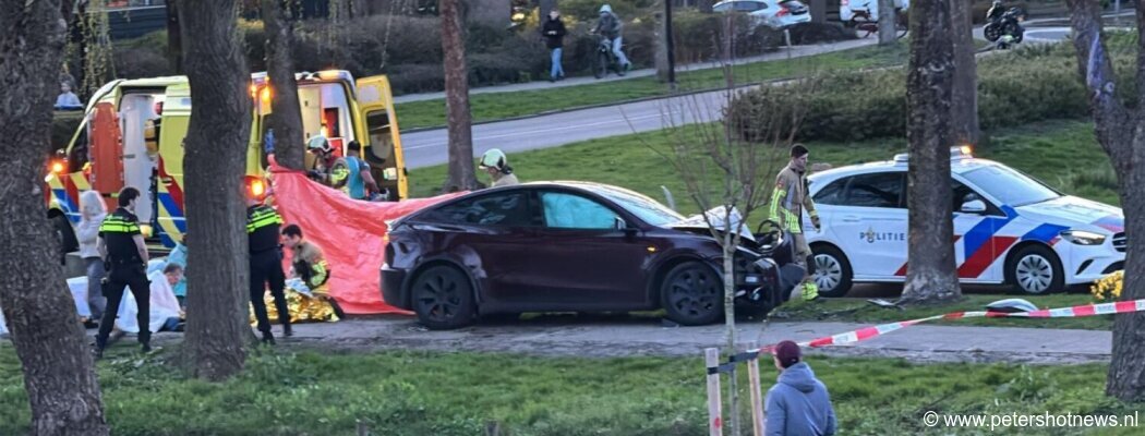 Tesla klapt op boom in Wilnis, meerdere gewonden