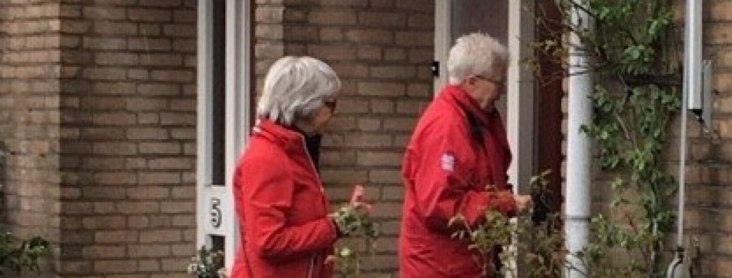 PvdA Uithoorn De Kwakel deelt plantjes uit