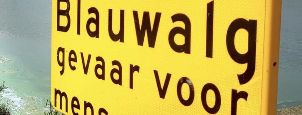 Opnieuw negatief zwemadvies Vrouwentroost/Surfeiland