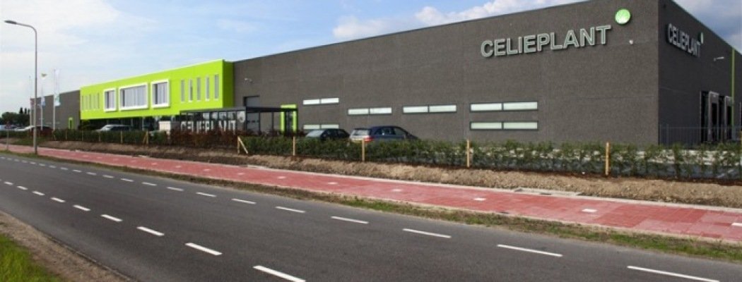 Opening nieuwbouw biedt businesskansen voor Celieplant en Bouquetnet in Aalsmeer