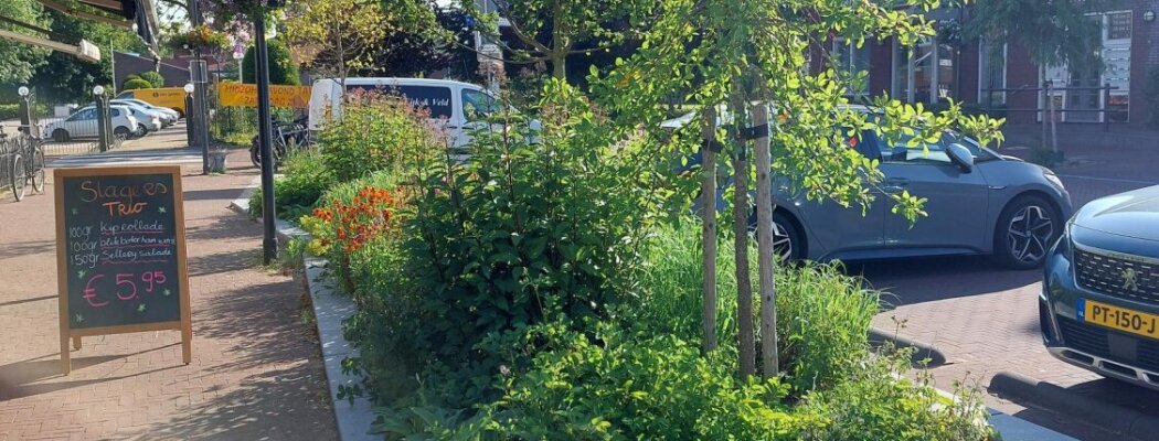 Dorpshart De Kwakel in volle bloei