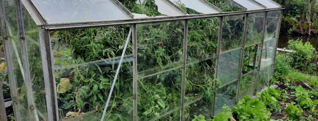 Ravage bij moestuinen Bellopad: glasregen over planten en gewassen