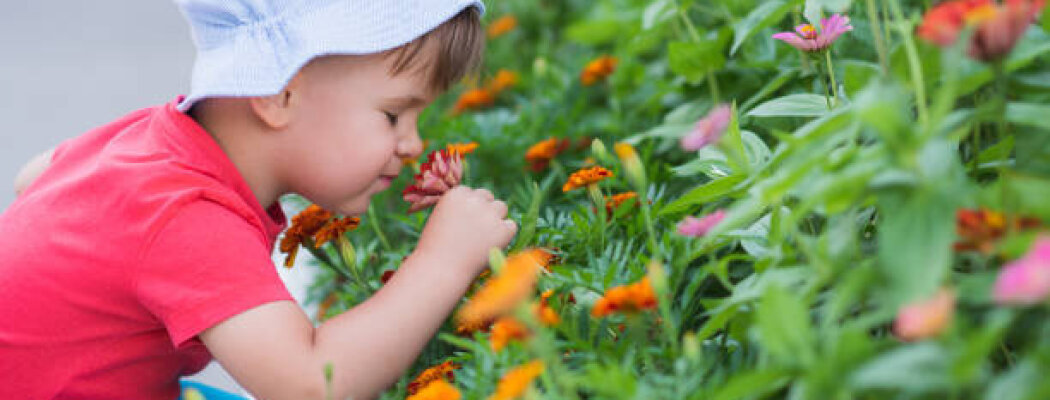 Ouder&Kind Lokaal De Hoef gaat op avontuur in de natuur!