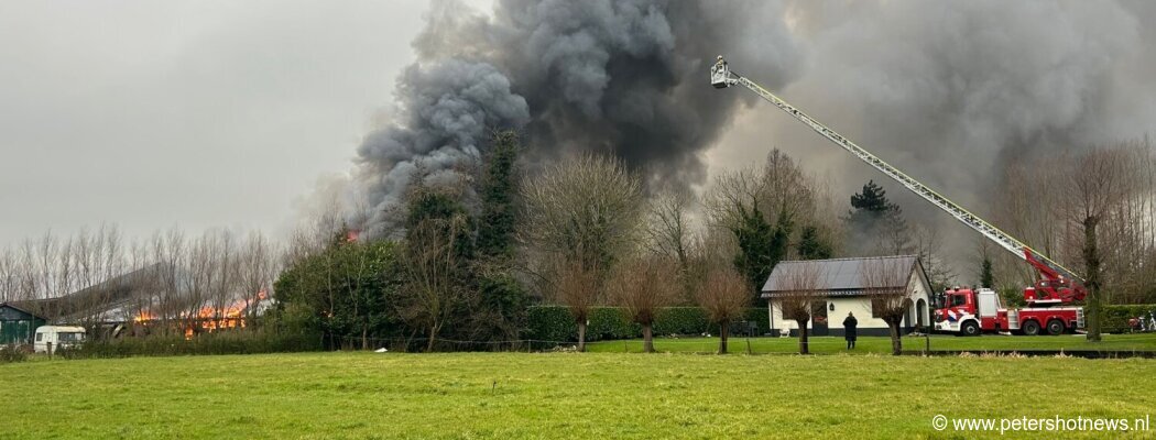 Brand in stal Kockengen: 19 koeien omgekomen