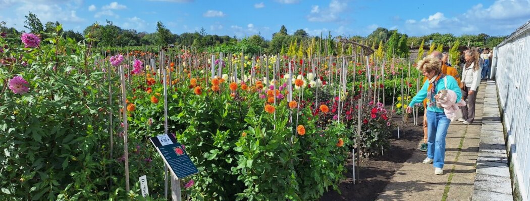 Openbare herfstrondleiding in de Historische Tuin