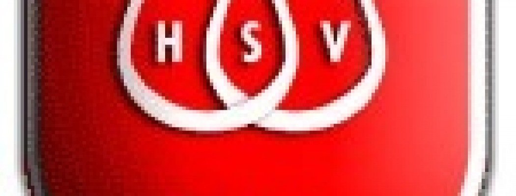 Laatste week stemmen op HSV'69 voor veel geld