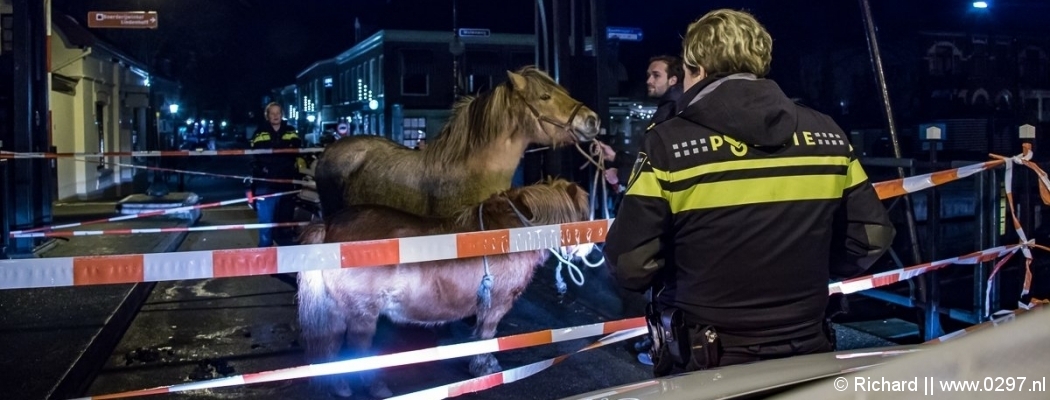 Politie vangt losgebroken paarden in centrum Abcoude