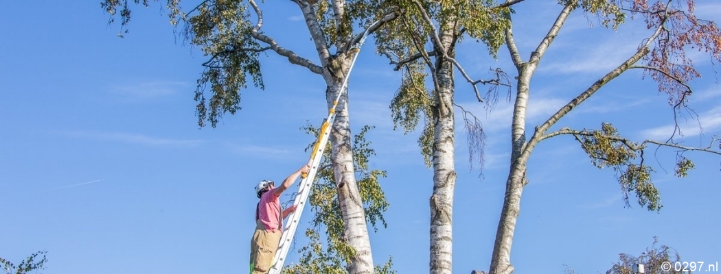 Brandweer haalt balancerende tak uit boom Vreeland