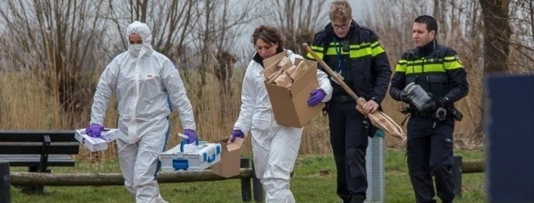 Verdachte van 'ernstig zedenmisdrijf' in Breukelen aangehouden